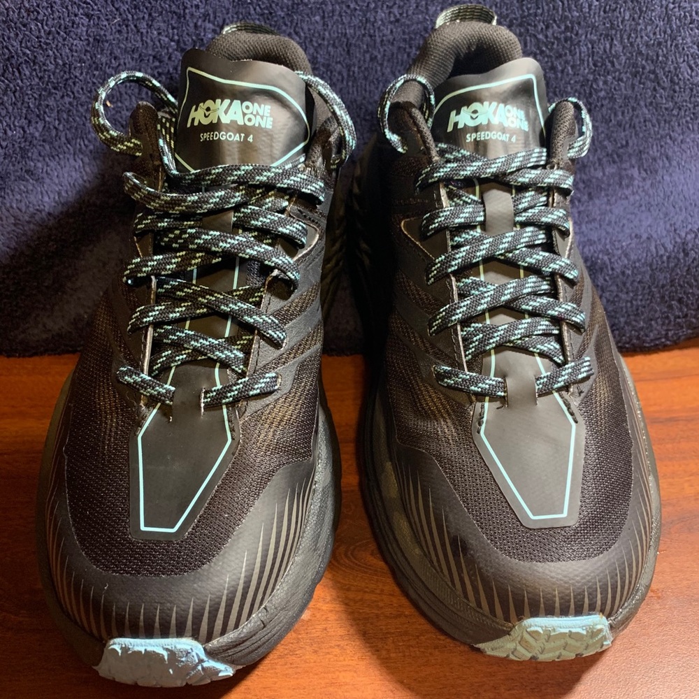 Hoka one one Speedgoat 4, that are gortex!!!